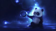 Panda 8