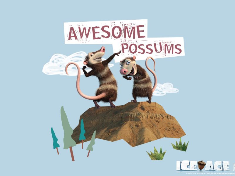 Crash and Eddie: Awesome possums – Ice Age