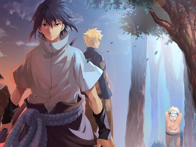 Sasuke And Naruto Illustration, Naruto Shippuuden, Uchiha Sasuke